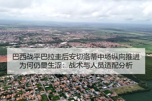 ba-xi-zhan-ping-ba-la-gui-hou-an-qie-luo-di-zhong-chang-zong-xiang-tui-jin-wei-he-reng-xian-sheng-se-zhan-shu-yu-ren-2-646.jpg
